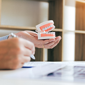 Dentist holding a denture model
