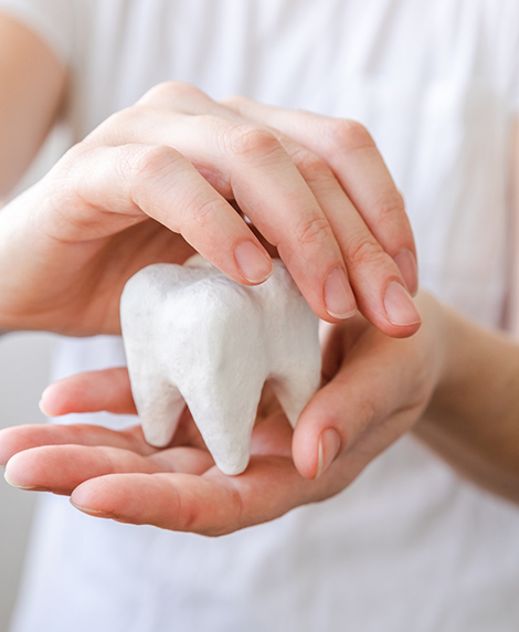 Hands holding a model of a tooth