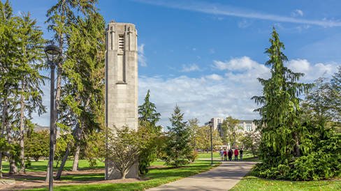 Walkway through a grassy field